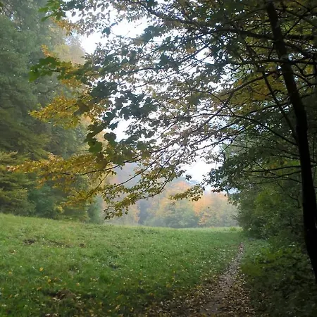 Haus-iris-mauerbach Dom wakacyjny Mauerbach