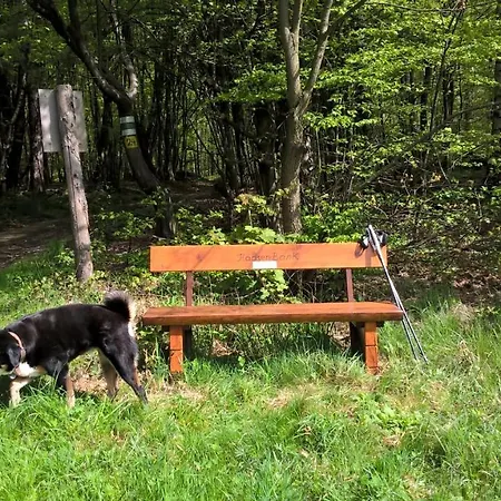 Holiday home Haus-iris-mauerbach Mauerbach