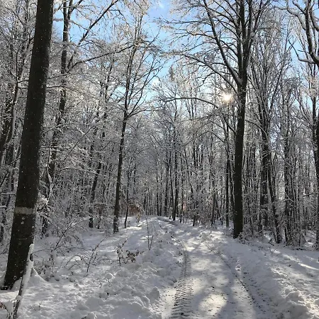 Holiday home Haus-iris-mauerbach