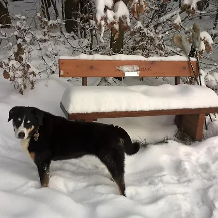 Haus-iris-mauerbach Holiday home