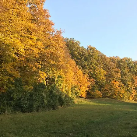 Haus-iris-mauerbach * Mauerbach