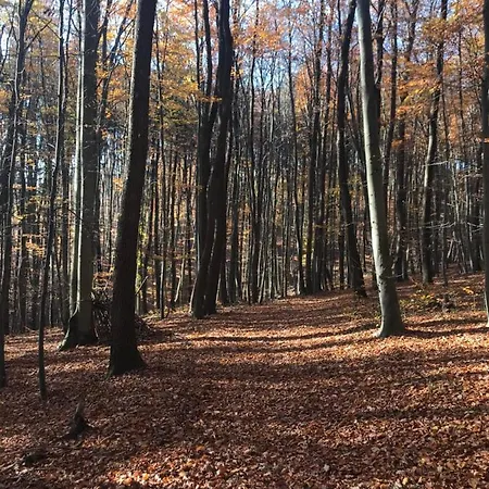 Haus-iris-mauerbach Dom wakacyjny *
