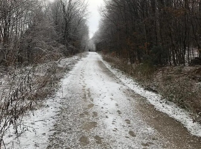 Vakantiehuis Haus-iris-mauerbach