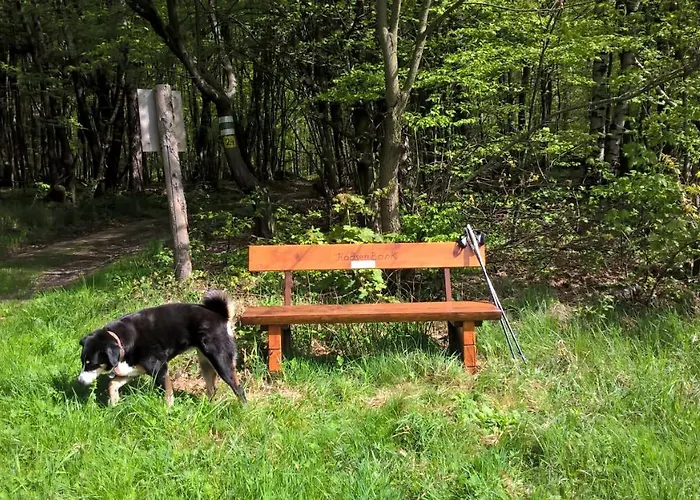 Vakantiehuis Haus-iris-mauerbach Mauerbach