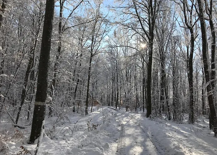 Vakantiehuis Haus-iris-mauerbach
