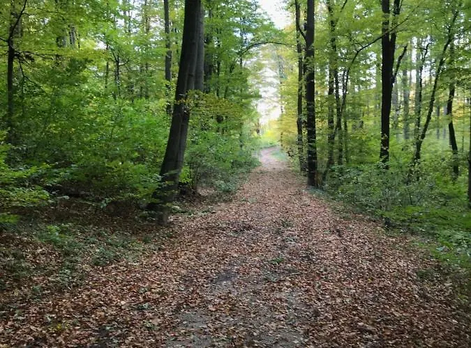 Haus-iris-mauerbach Mauerbach