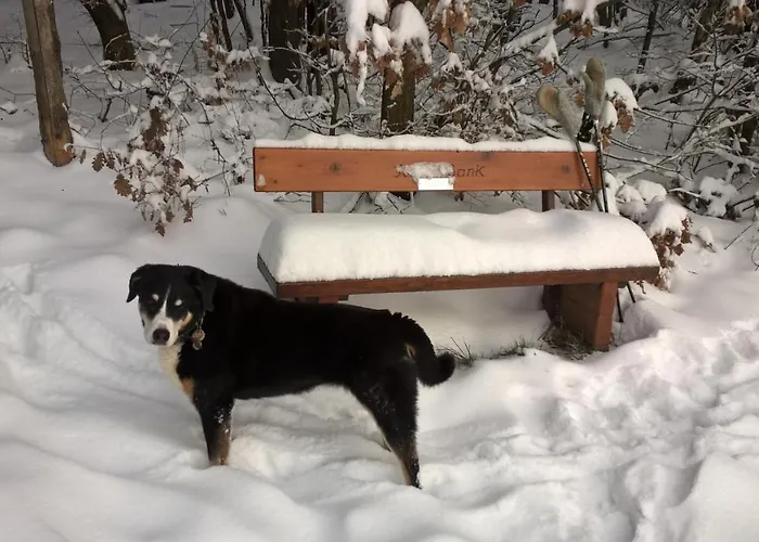 Haus-iris-mauerbach Vakantiehuis