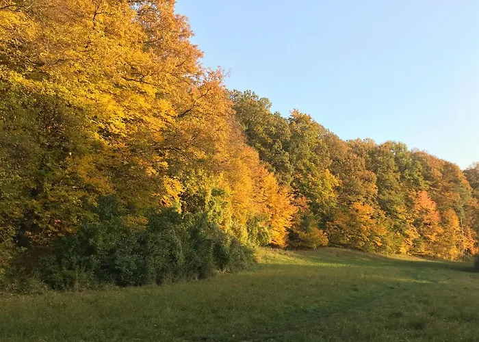 Haus-iris-mauerbach * Mauerbach