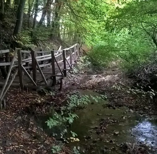 Haus-iris-mauerbach Mauerbach