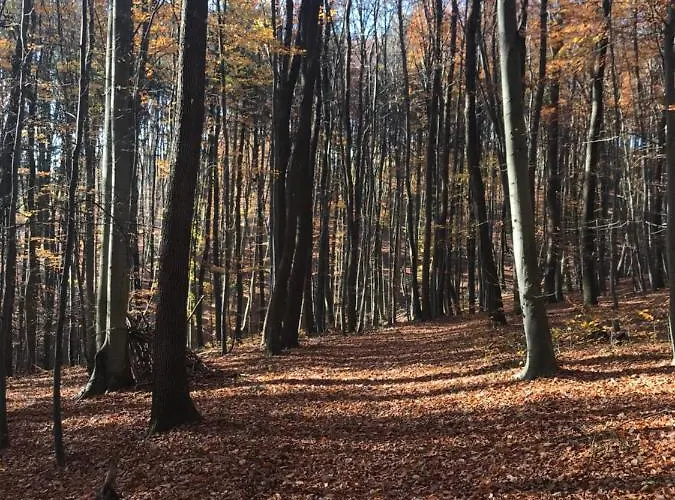 Haus-iris-mauerbach Holiday home *